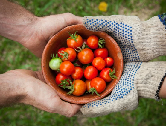 Copropriété : 5 initiatives innovantes pour mieux vivre ensemble en 2025
