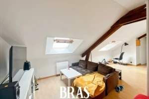 Duplex/Triplex - 37m²
