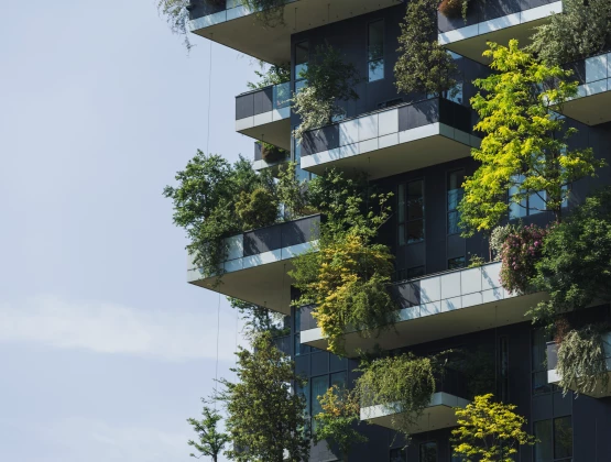 Loi Climat et Résilience : impacts et obligations pour l’immobilier en 2025