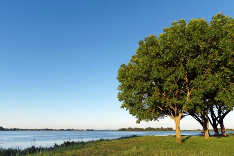 immobilier-saint-armel-avantages-cadre-de-vie