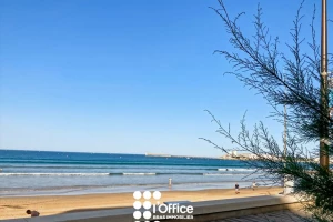 Appartement T2 - 53m²