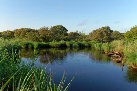 immobilier-saint-joachim-briere-cadre-de-vie