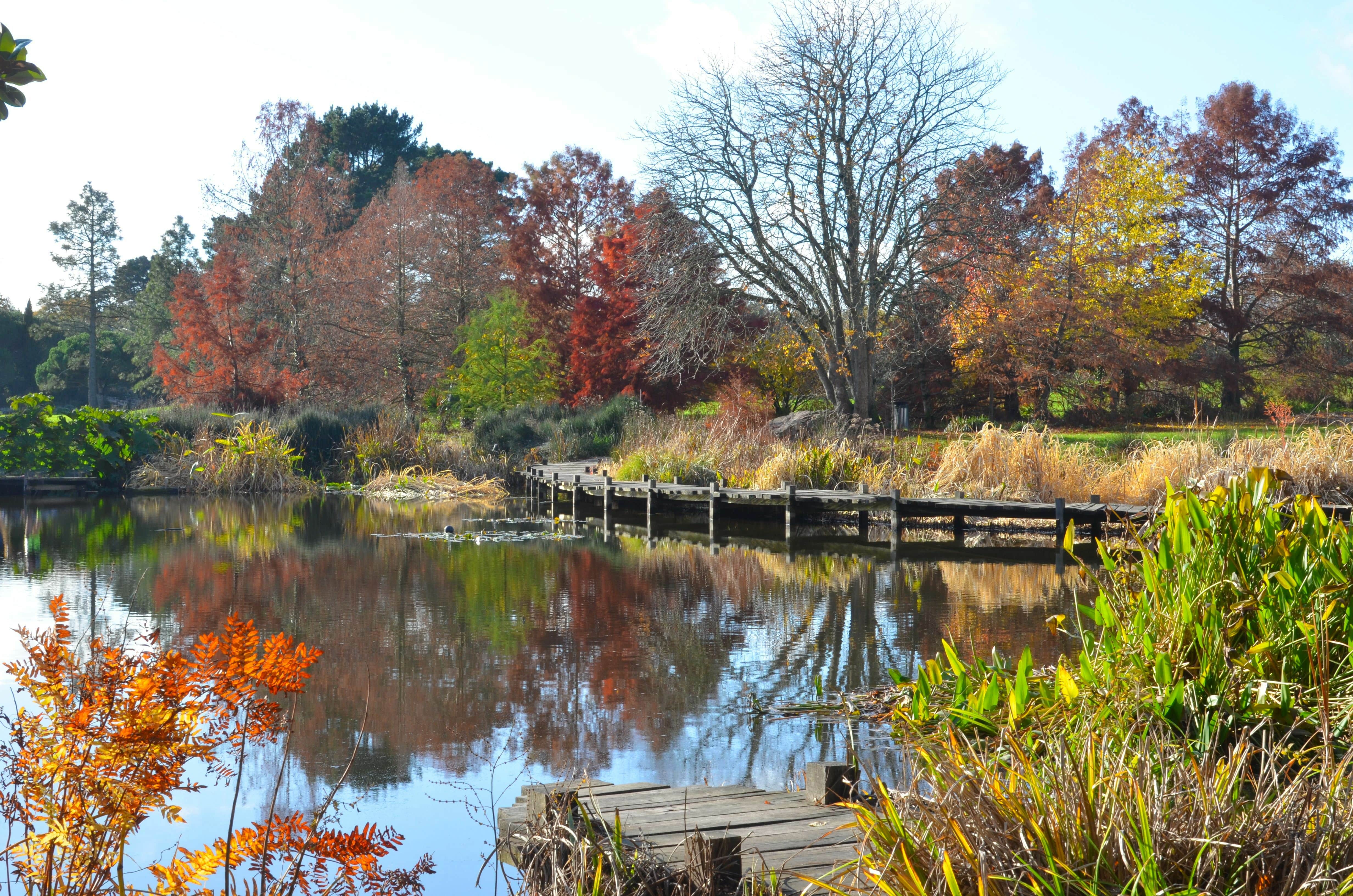 parc-grand-blottereau-nantes