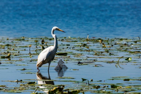 immobilier-saint-aignan-grand-lieu-avantages-cadre-de-vie