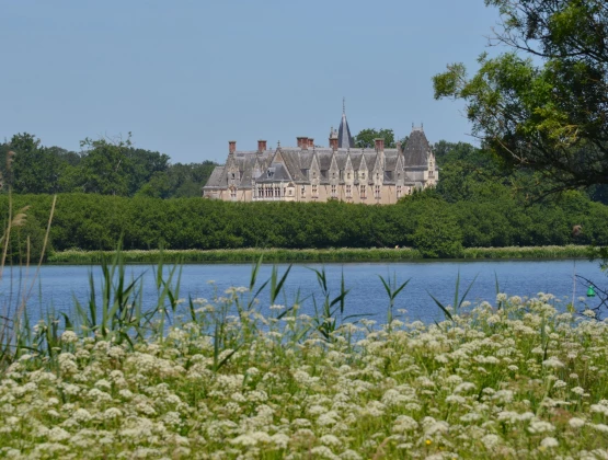 Top 5 des villes où investir dans l’immobilier au nord de Nantes