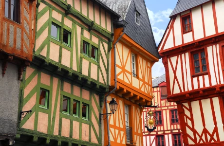 Bras Immobilier