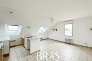 Duplex/Triplex - 51m²