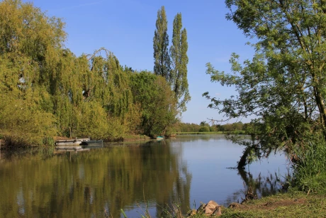 immobilier-saint-leger-les-vignes-avantages-cadre-de-vie