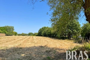 Terrain à bâtir - 1784m²