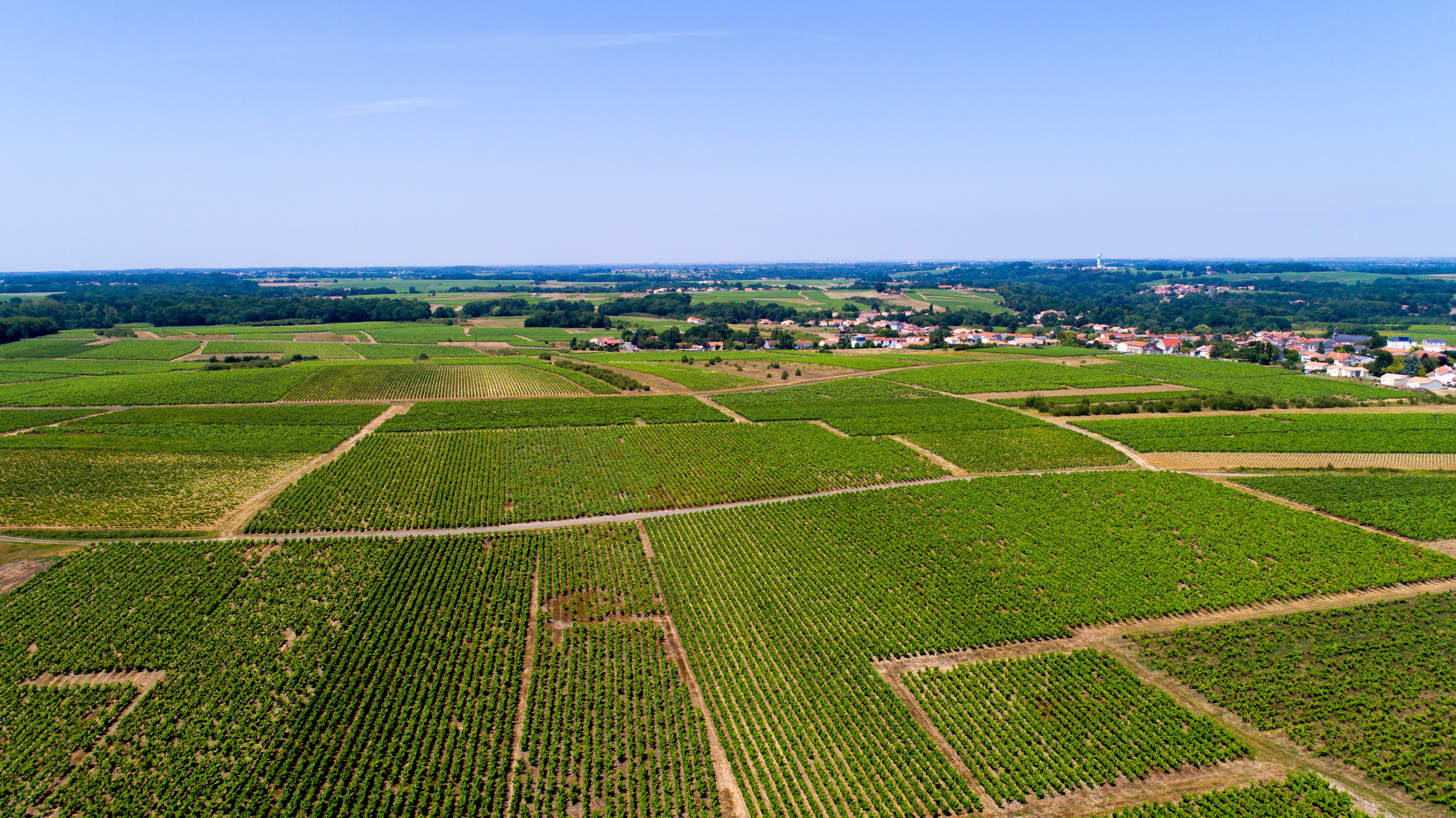 adobestock_342449894-min