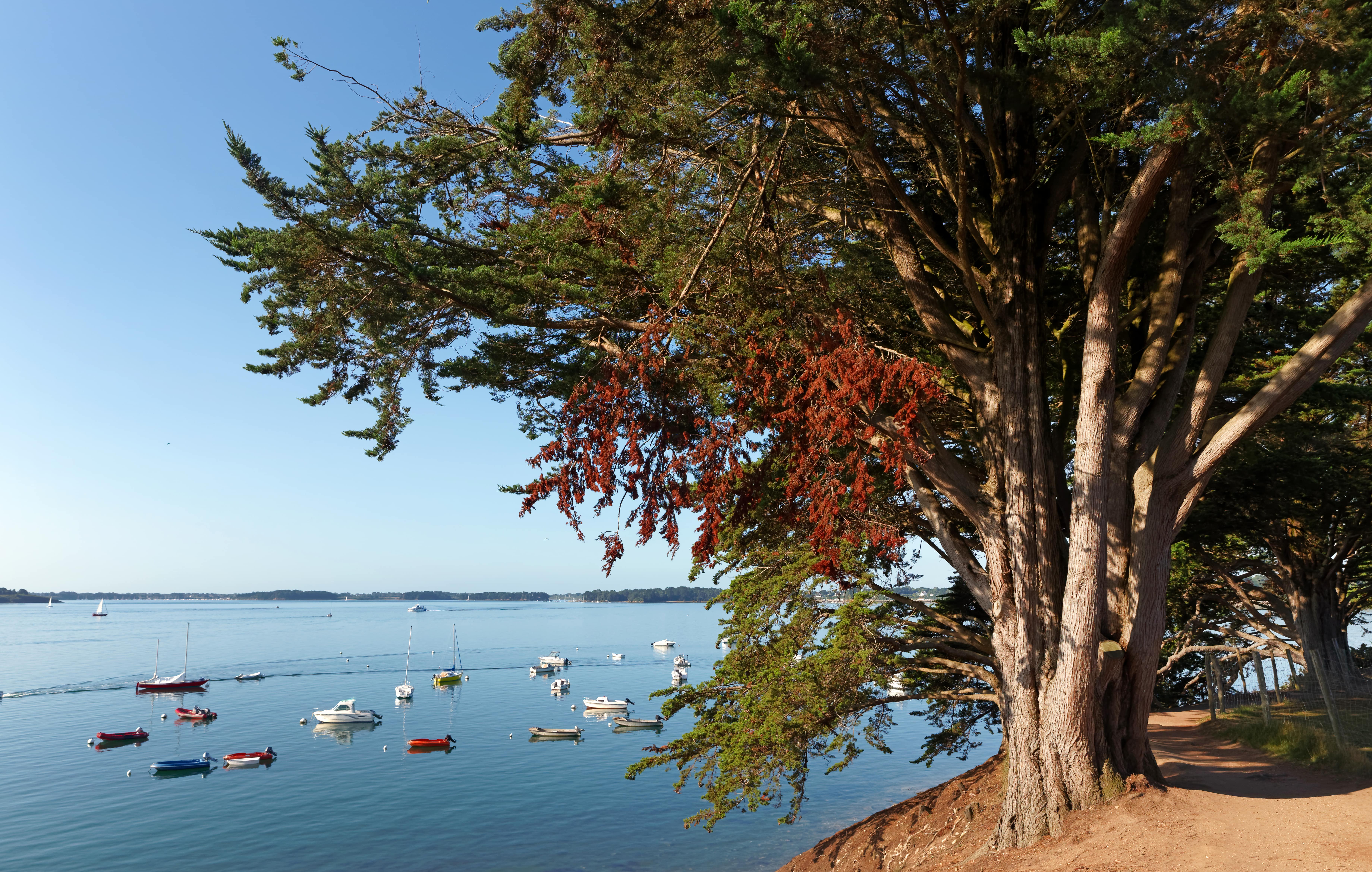 adobestock_342449894-min