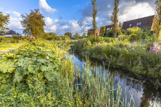 L'immobilier à Nantes : focus sur le quartier Doulon - Bottière