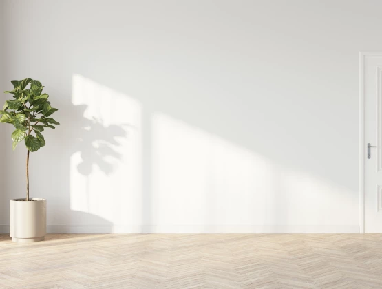 Quel type de logement pour votre appartement neuf ?