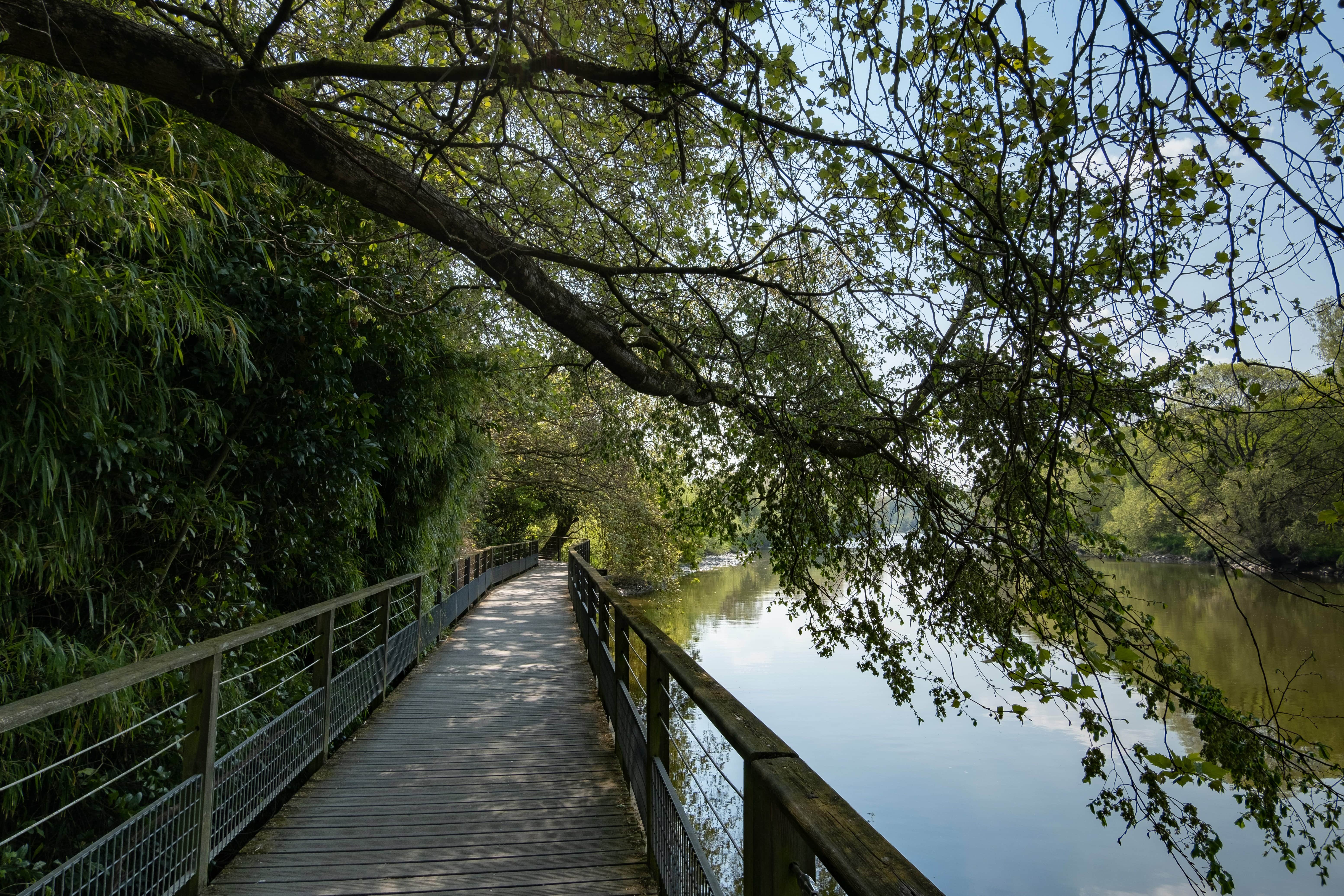 adobestock_248964446-min