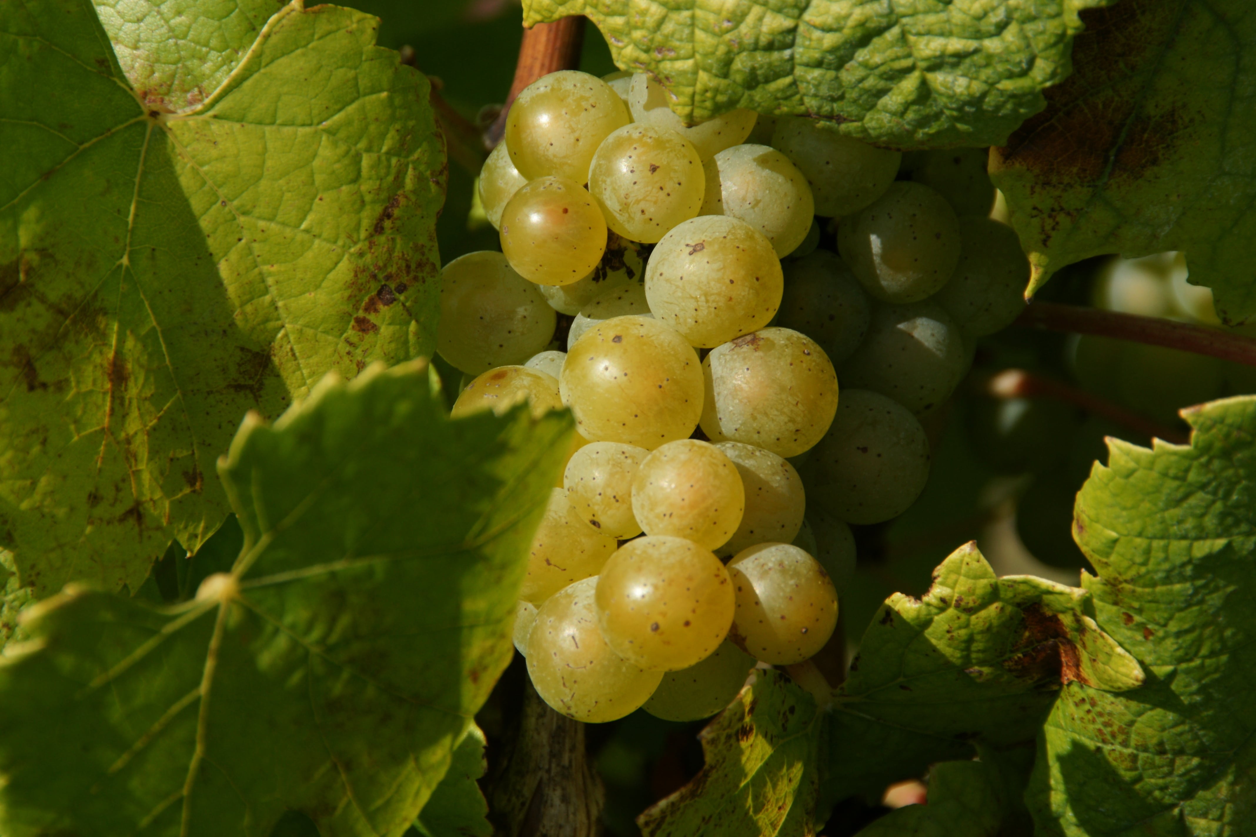 adobestock_248964446-min