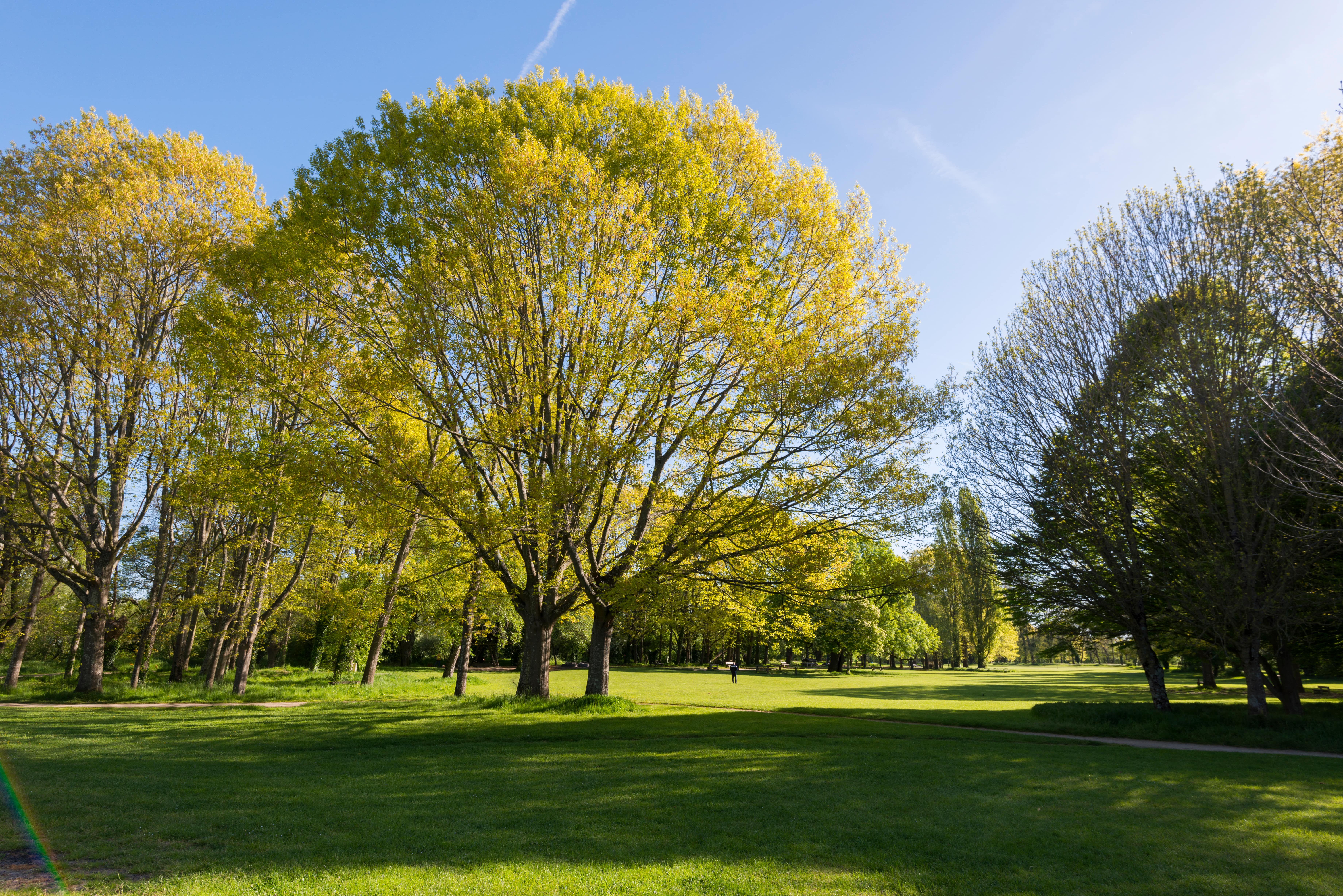 adobestock_248964446-min