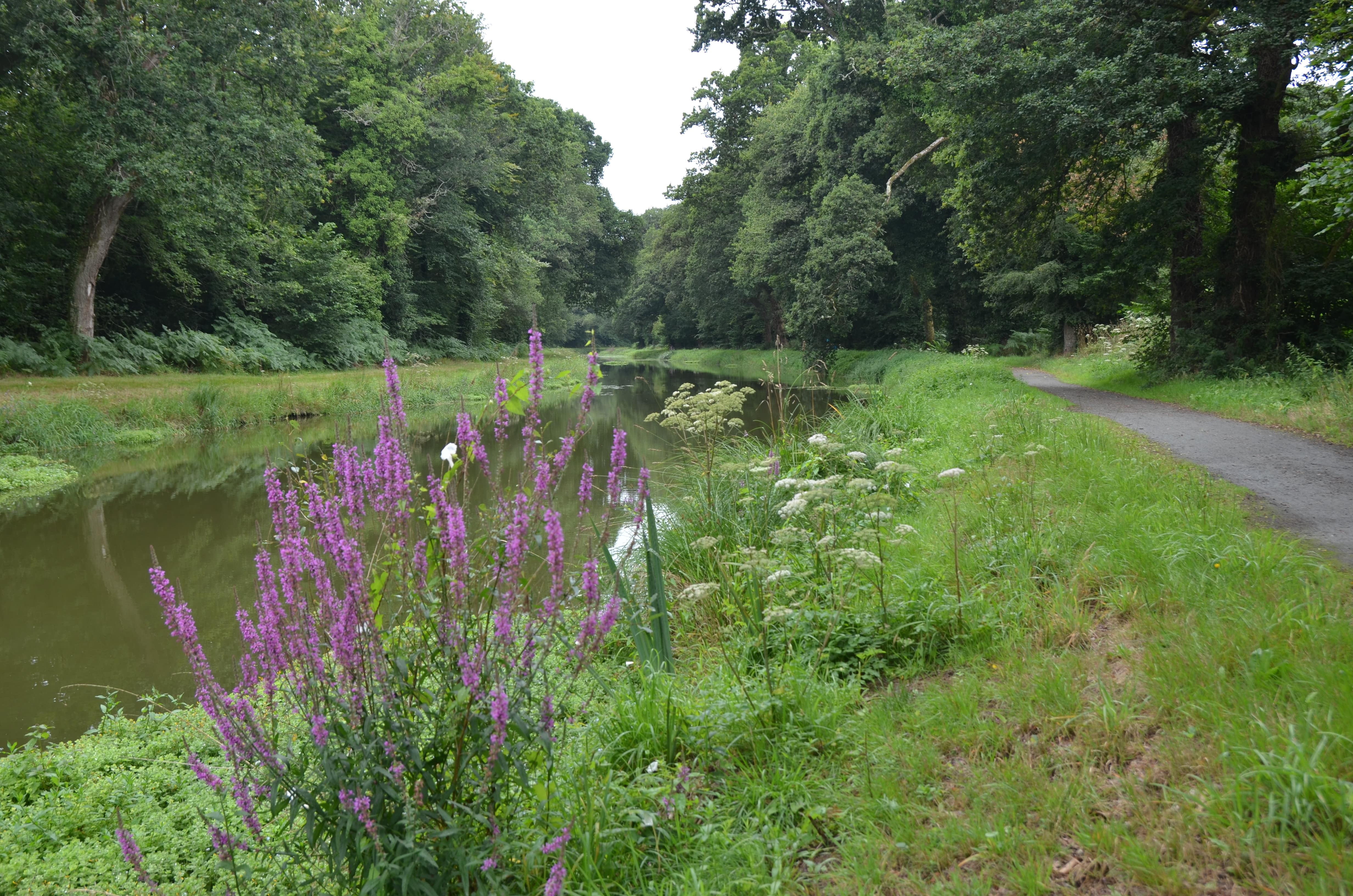 adobestock_248964446-min