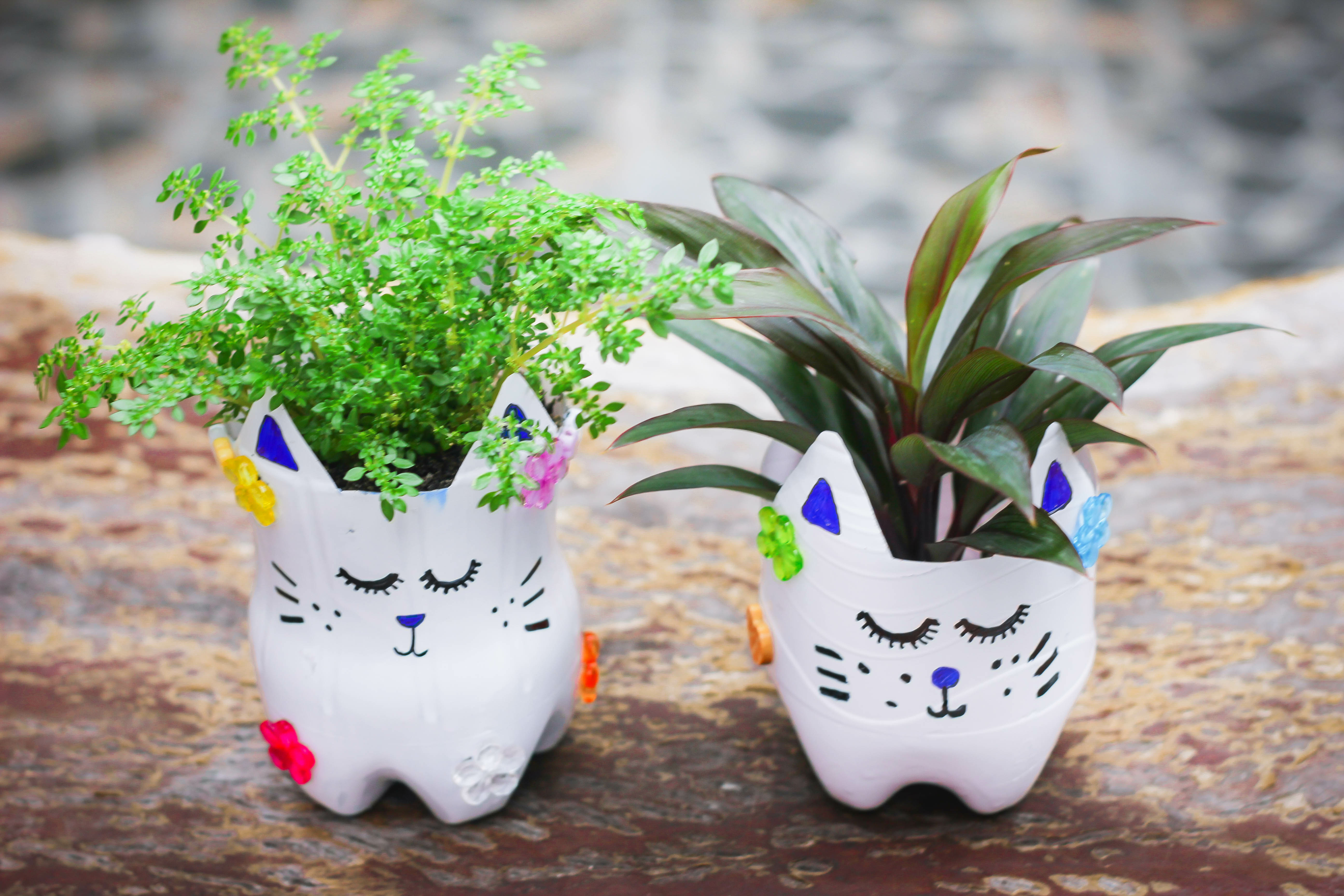 pots-a-planter