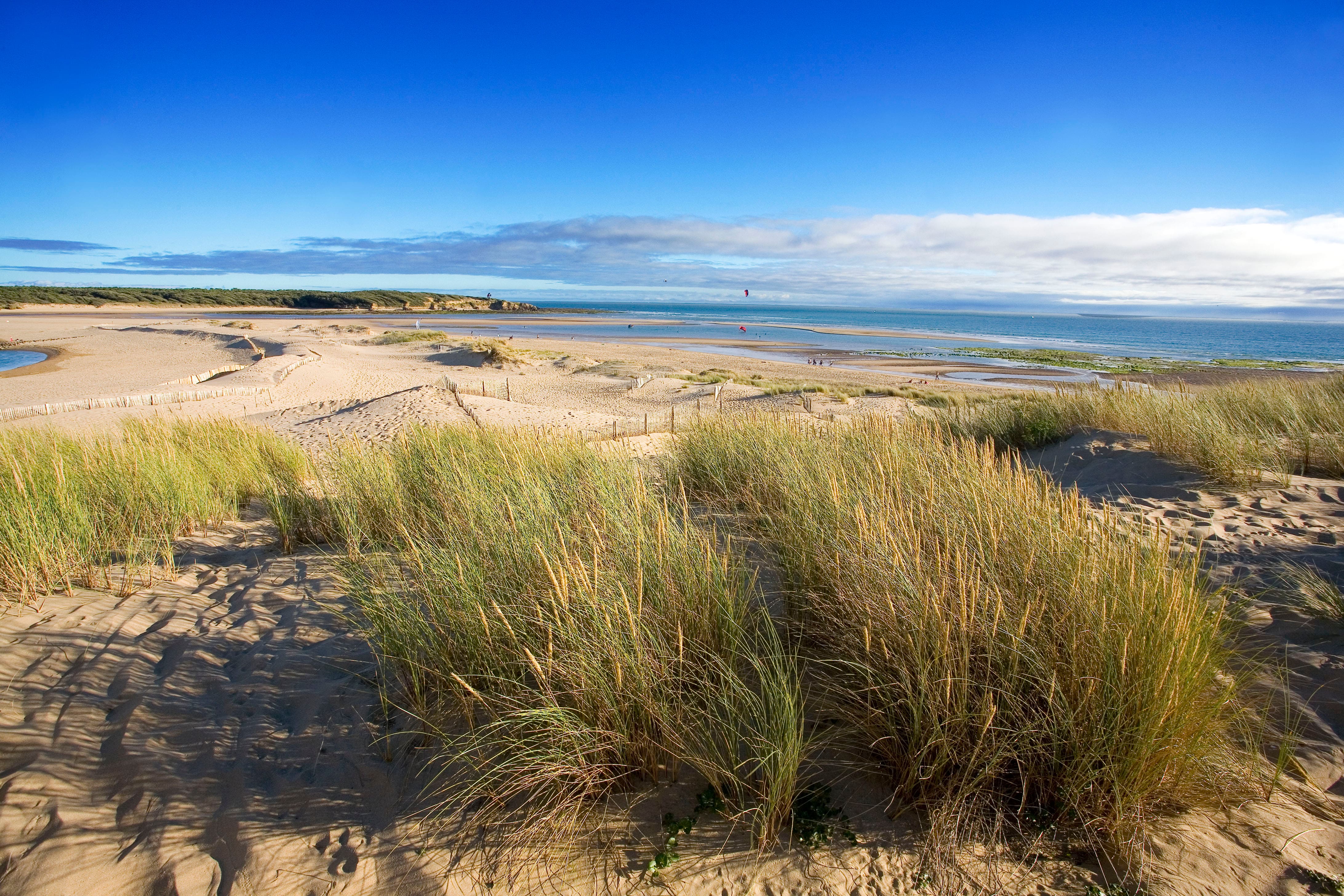 adobestock_248964446-min