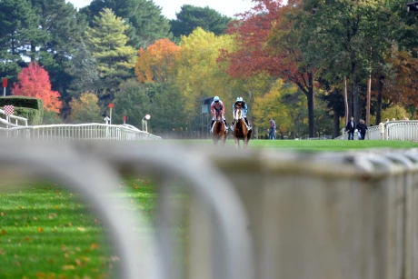 geraudiere-boissiere-hippodrome-nantes