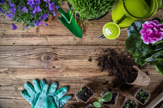 Préparer son jardin pour le printemps